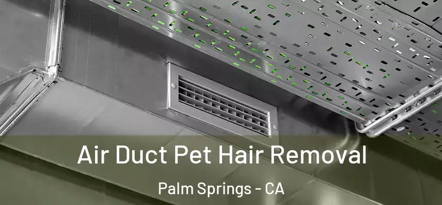  Air Duct Pet Hair Removal Palm Springs - CA