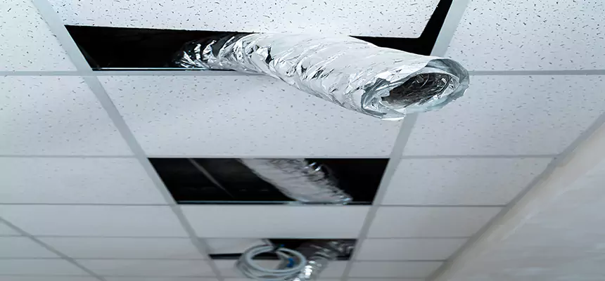 Our Air Duct Pet Hair Removal Services in Palm Springs, CA