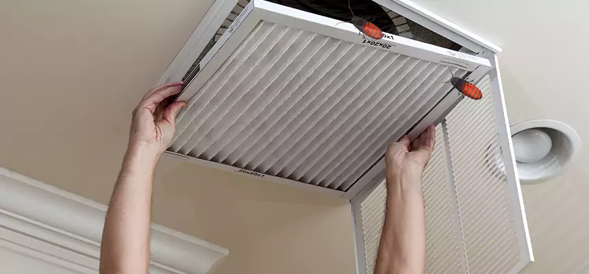 Our Insect Removal from Air Ducts Services in Palm Springs, CA