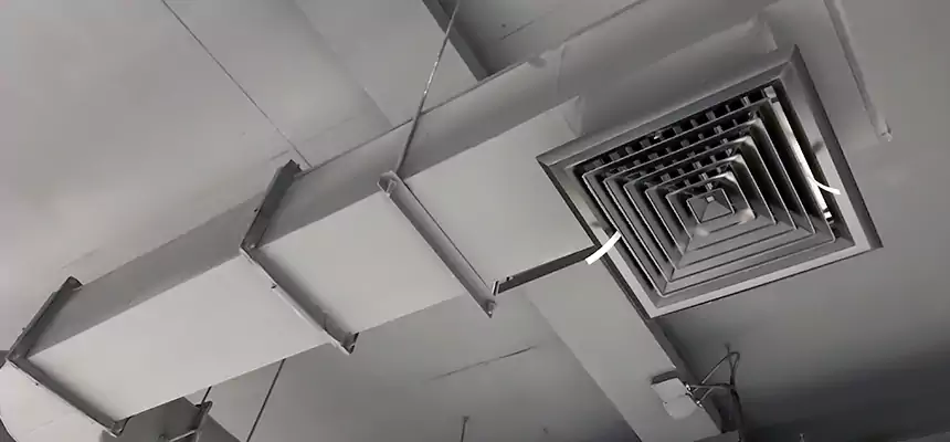 Our Pest Removal From Ducts Services in Palm Springs, CA