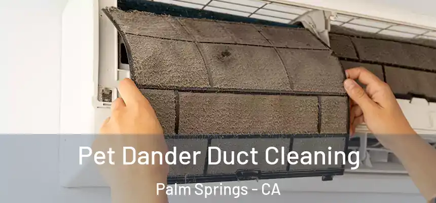  Pet Dander Duct Cleaning Palm Springs - CA