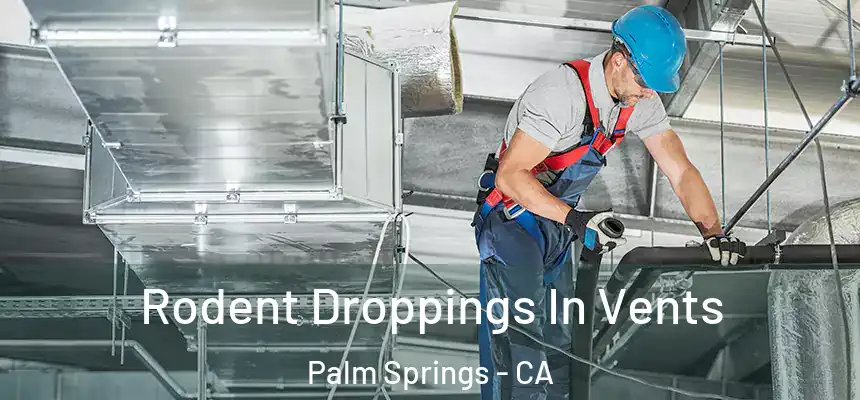  Rodent Droppings In Vents Palm Springs - CA