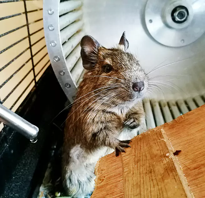 Why Homeowners & Businesses Trust Us Palm Springs, CA?